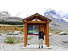 08_Icefield-Parkway-zpet_026